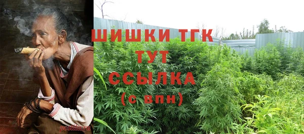 СК Михайлов