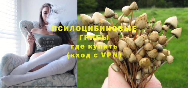 СК Михайлов