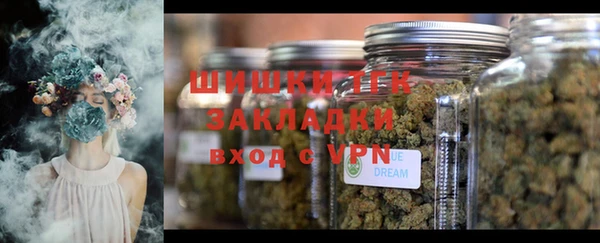 СК Михайлов