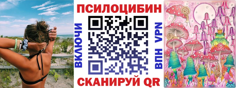 купить закладку  Богданович  Псилоцибиновые грибы Cubensis 