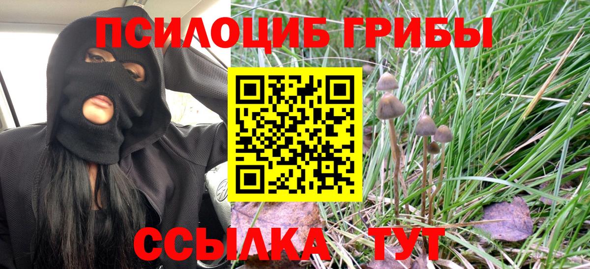 Героин Богданович
