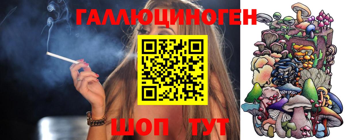 Псилоцибиновые грибы Psilocybe  Вход с VPN  Псилоцибиновые грибы мухоморы  Богданович 