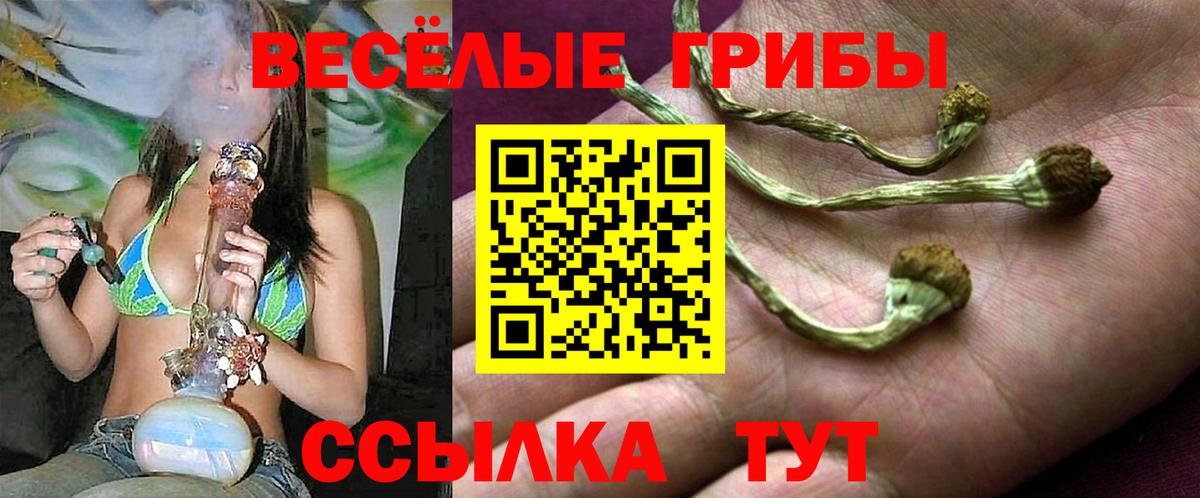 Галлюциногенные грибы ЛСД Богданович